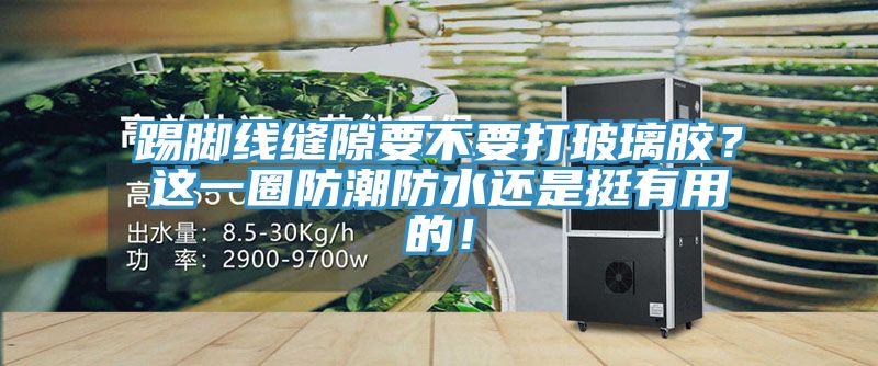 踢腳線縫隙要不要打玻璃膠？這一圈防潮防水還是挺有用的！