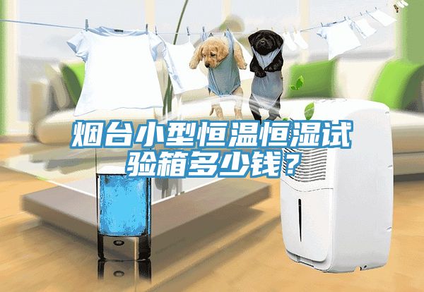 煙臺小型恒溫恒濕試驗(yàn)箱多少錢？