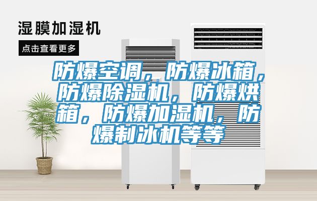 防爆空調(diào)，防爆冰箱，防爆除濕機(jī)，防爆烘箱，防爆加濕機(jī)，防爆制冰機(jī)等等