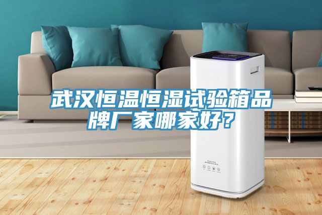 武漢恒溫恒濕試驗(yàn)箱品牌廠家哪家好？