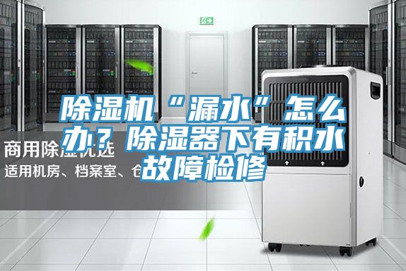 除濕機(jī)“漏水”怎么辦？除濕器下有積水故障檢修