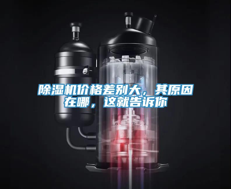除濕機(jī)價(jià)格差別大，其原因在哪，這就告訴你