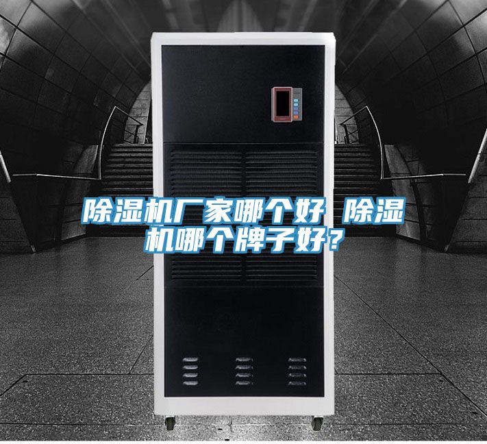 除濕機(jī)廠家哪個好 除濕機(jī)哪個牌子好？
