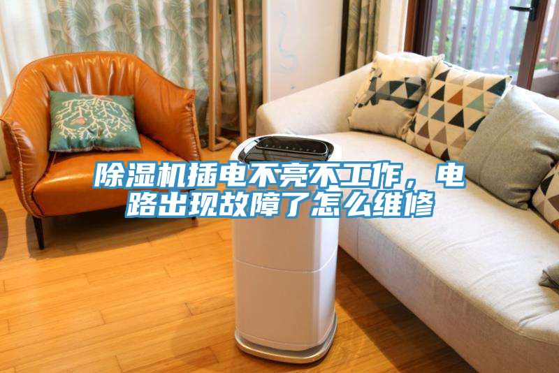 除濕機(jī)插電不亮不工作，電路出現(xiàn)故障了怎么維修