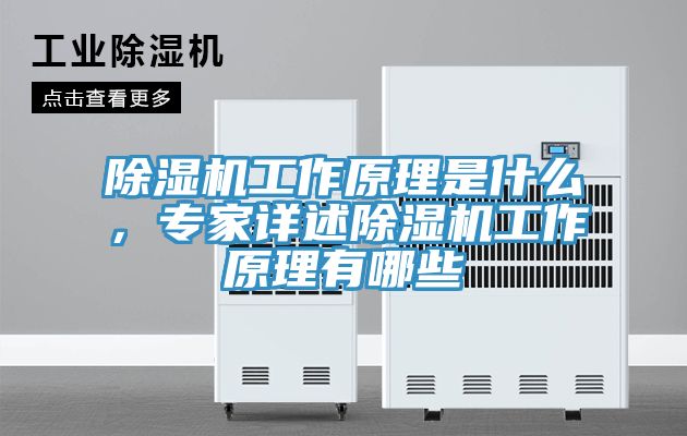 除濕機(jī)工作原理是什么，專家詳述除濕機(jī)工作原理有哪些