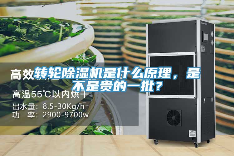 轉(zhuǎn)輪除濕機(jī)是什么原理，是不是貴的一批？