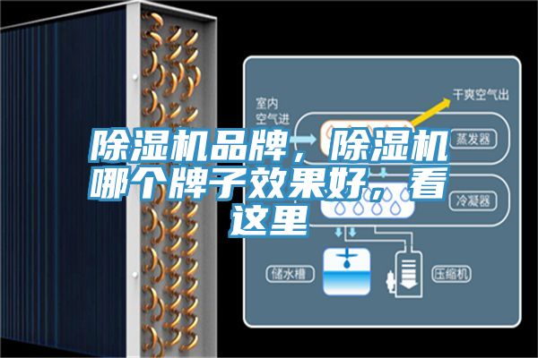 除濕機品牌，除濕機哪個牌子效果好，看這里