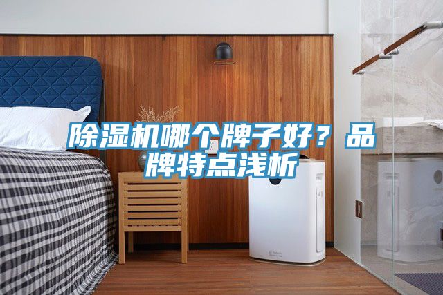 除濕機(jī)哪個(gè)牌子好？品牌特點(diǎn)淺析