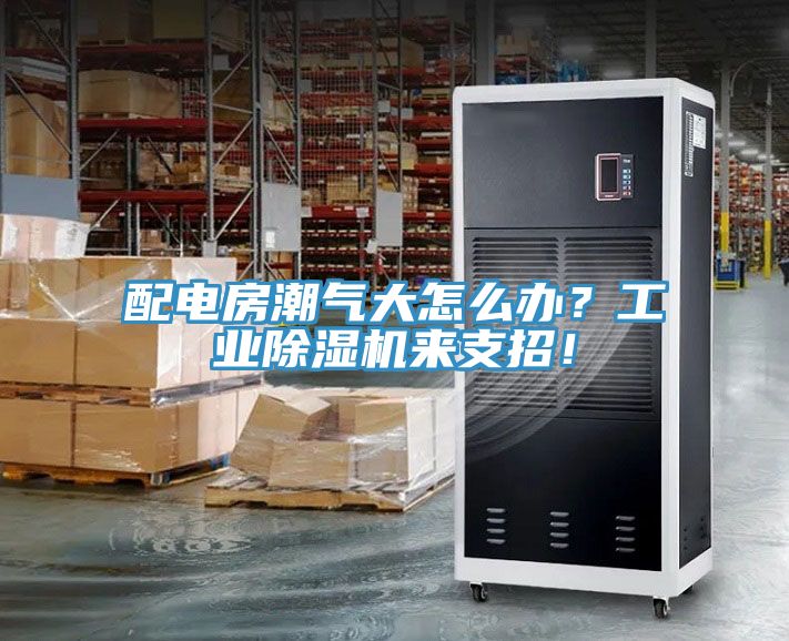 配電房潮氣大怎么辦？工業(yè)除濕機(jī)來支招！