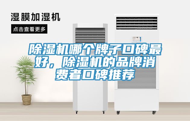 除濕機(jī)哪個(gè)牌子口碑最好，除濕機(jī)的品牌消費(fèi)者口碑推薦