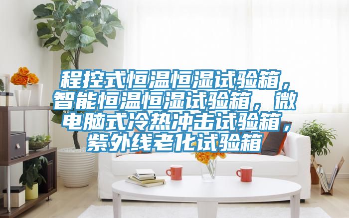 程控式恒溫恒濕試驗箱，智能恒溫恒濕試驗箱，微電腦式冷熱沖擊試驗箱，紫外線老化試驗箱