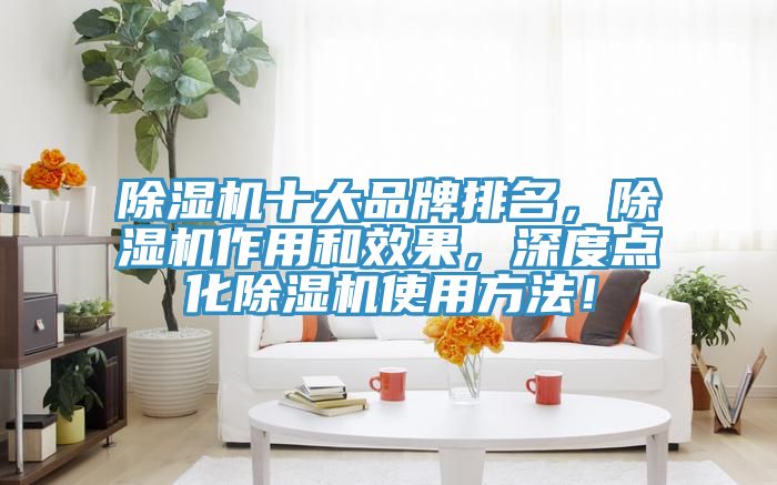除濕機十大品牌排名，除濕機作用和效果，深度點化除濕機使用方法！
