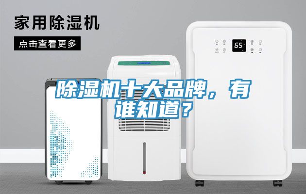 除濕機(jī)十大品牌，有誰(shuí)知道？