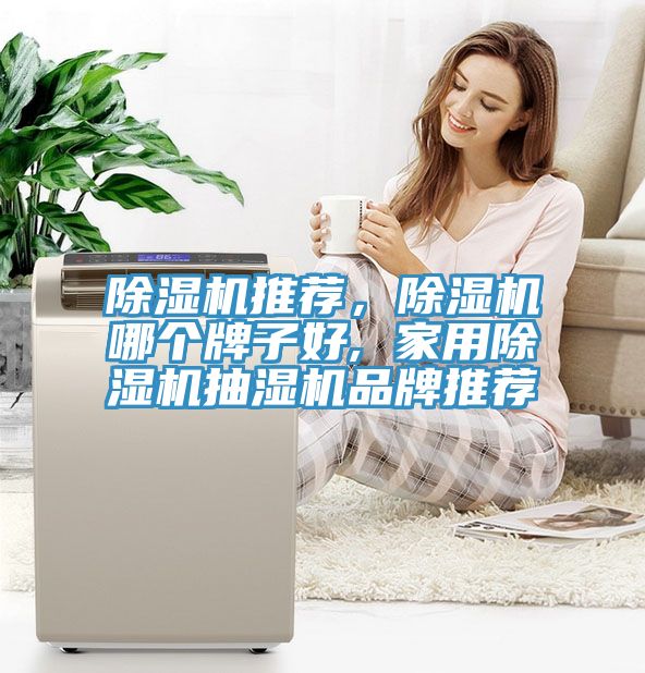 除濕機(jī)推薦，除濕機(jī)哪個(gè)牌子好, 家用除濕機(jī)抽濕機(jī)品牌推薦