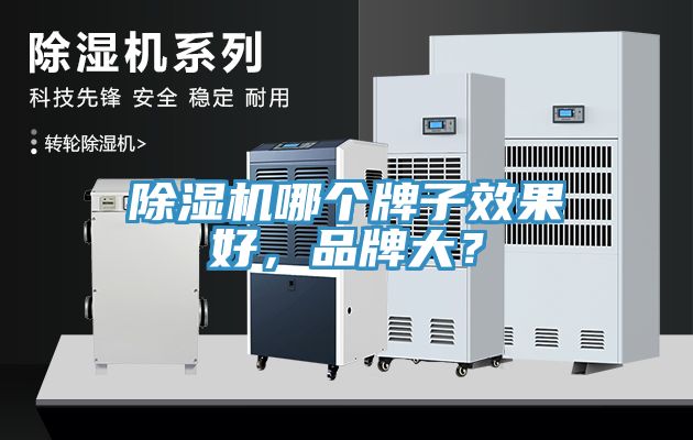 除濕機哪個牌子效果好，品牌大？