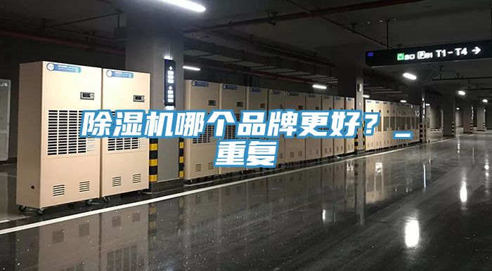 除濕機(jī)哪個(gè)品牌更好？_重復(fù)