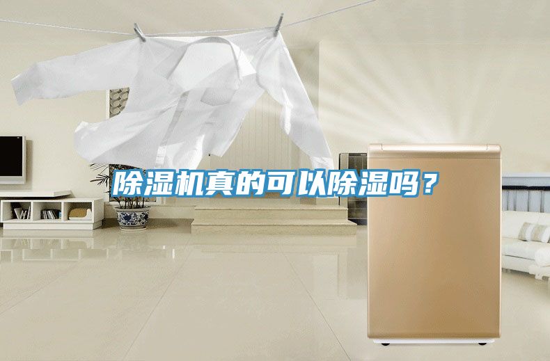 除濕機(jī)真的可以除濕嗎？