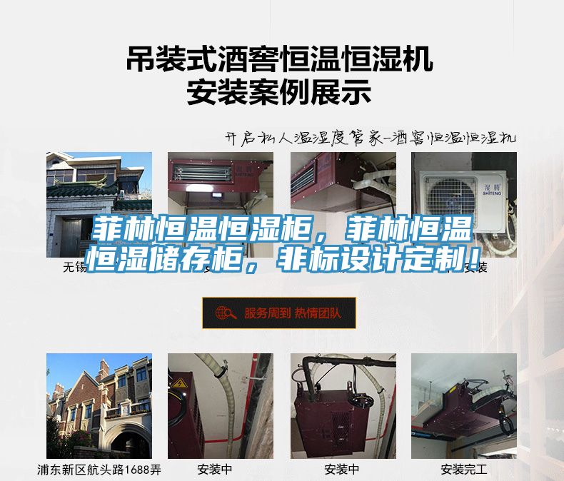 菲林恒溫恒濕柜，菲林恒溫恒濕儲存柜，非標設計定制！