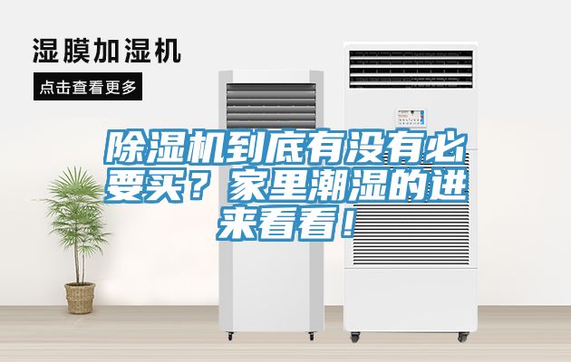 除濕機(jī)到底有沒有必要買？家里潮濕的進(jìn)來看看！