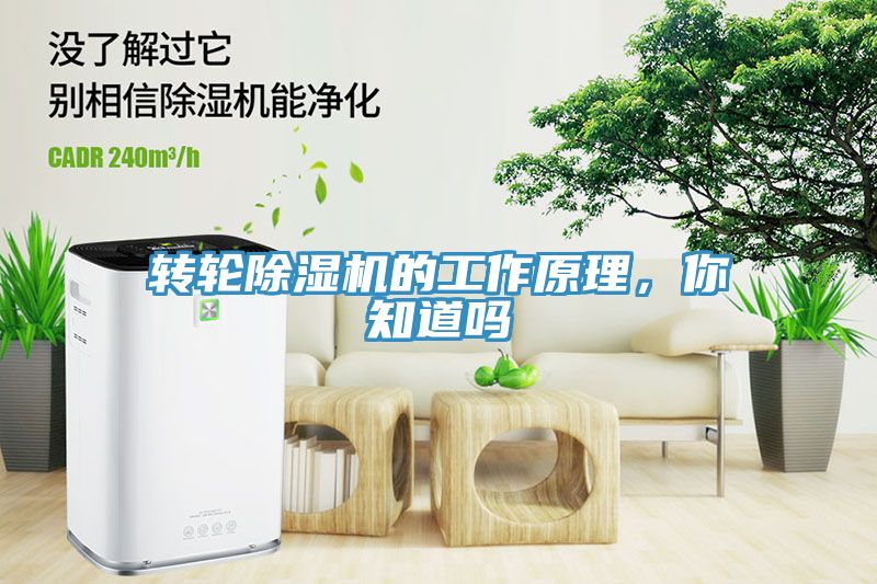 轉(zhuǎn)輪除濕機的工作原理，你知道嗎