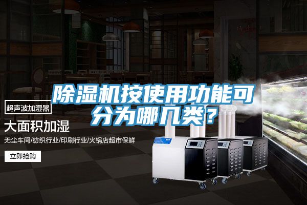 除濕機按使用功能可分為哪幾類？