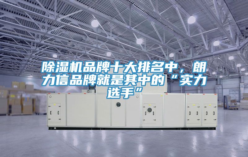 除濕機(jī)品牌十大排名中，朗力信品牌就是其中的“實(shí)力選手”