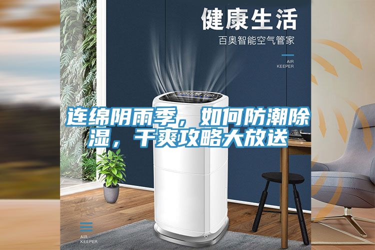 連綿陰雨季，如何防潮除濕，干爽攻略大放送