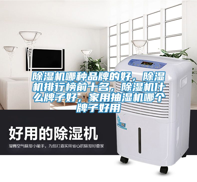 除濕機哪種品牌的好，除濕機排行榜前十名，除濕機什么牌子好，家用抽濕機哪個牌子好用