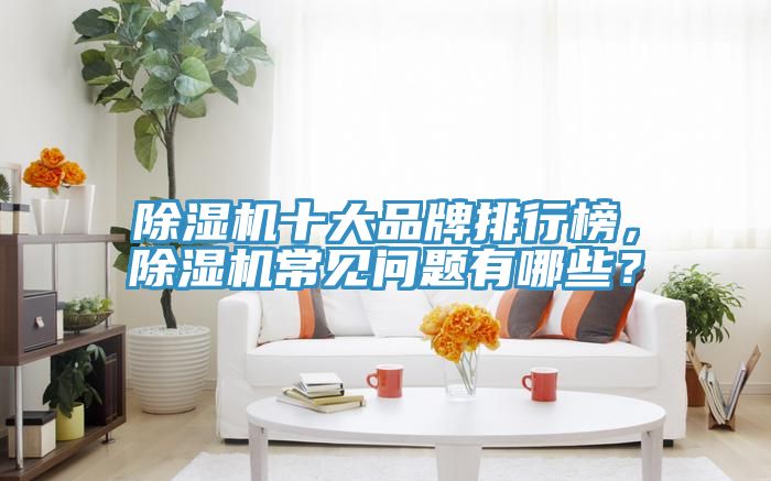 除濕機(jī)十大品牌排行榜，除濕機(jī)常見(jiàn)問(wèn)題有哪些？
