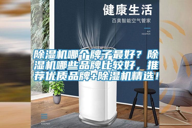 除濕機哪個牌子最好？除濕機哪些品牌比較好，推薦優(yōu)質品牌+除濕機精選！