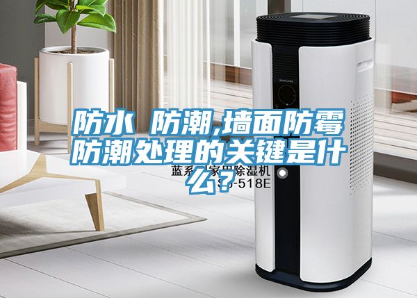 防水≠防潮,墻面防霉防潮處理的關(guān)鍵是什么？