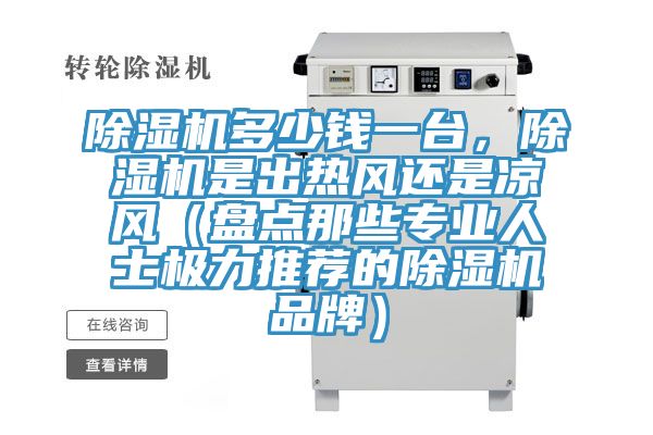 除濕機(jī)多少錢一臺，除濕機(jī)是出熱風(fēng)還是涼風(fēng)（盤點(diǎn)那些專業(yè)人士極力推薦的除濕機(jī)品牌）