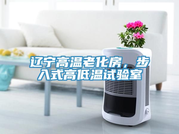 遼寧高溫老化房，步入式高低溫試驗(yàn)室