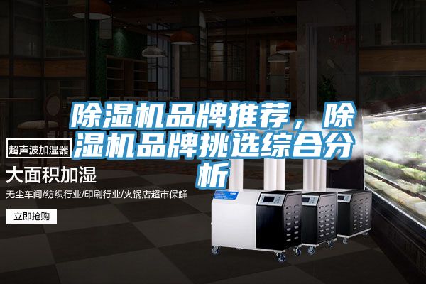 除濕機品牌推薦，除濕機品牌挑選綜合分析