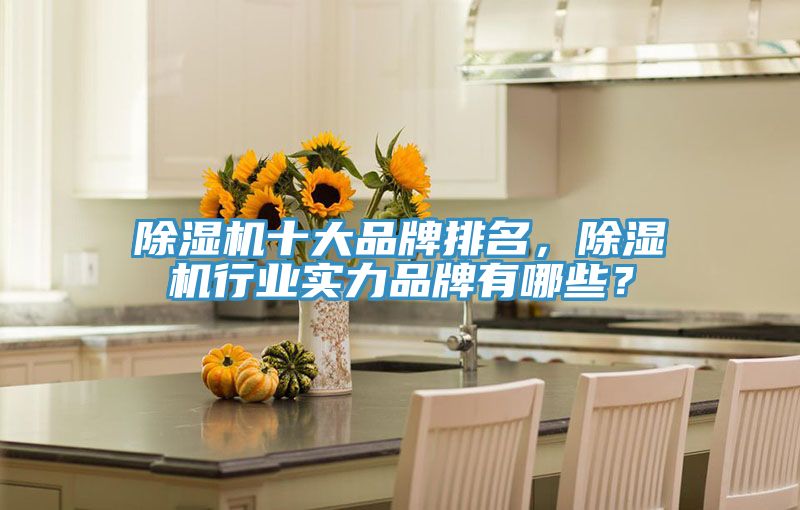 除濕機(jī)十大品牌排名，除濕機(jī)行業(yè)實力品牌有哪些？