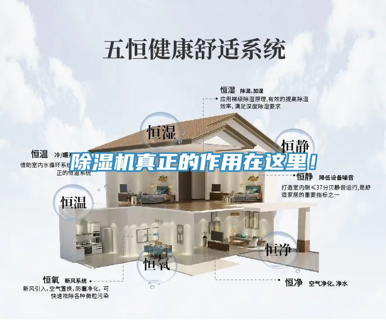除濕機(jī)真正的作用在這里！