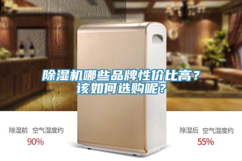除濕機哪些品牌性價比高？該如何選購呢？
