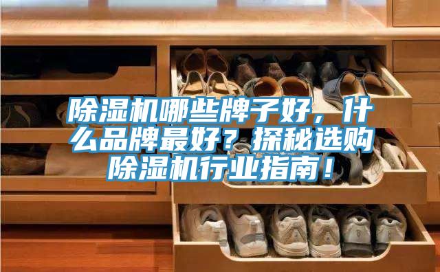 除濕機哪些牌子好，什么品牌最好？探秘選購除濕機行業(yè)指南！
