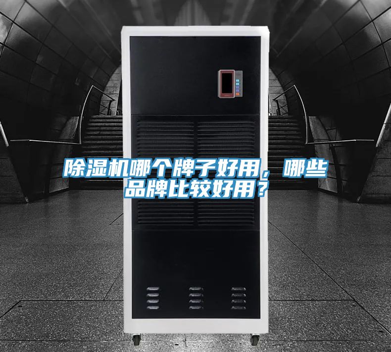 除濕機哪個牌子好用，哪些品牌比較好用？