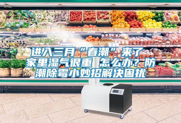 進入三月“春潮”來了 家里濕氣很重 怎么辦？防潮除霉小妙招解決困擾