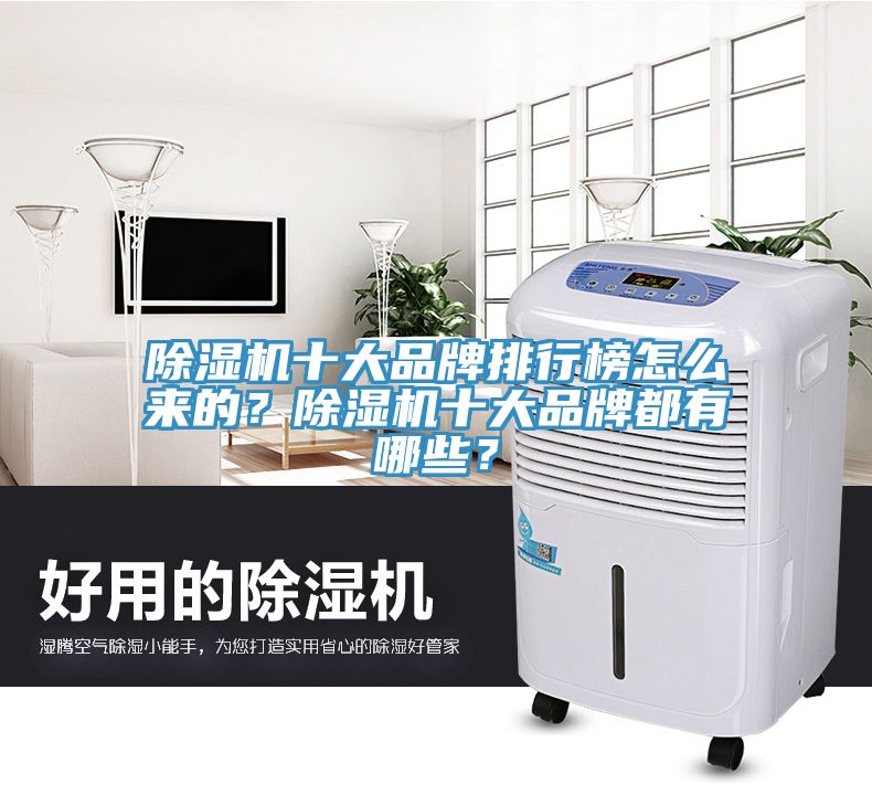 除濕機十大品牌排行榜怎么來的？除濕機十大品牌都有哪些？
