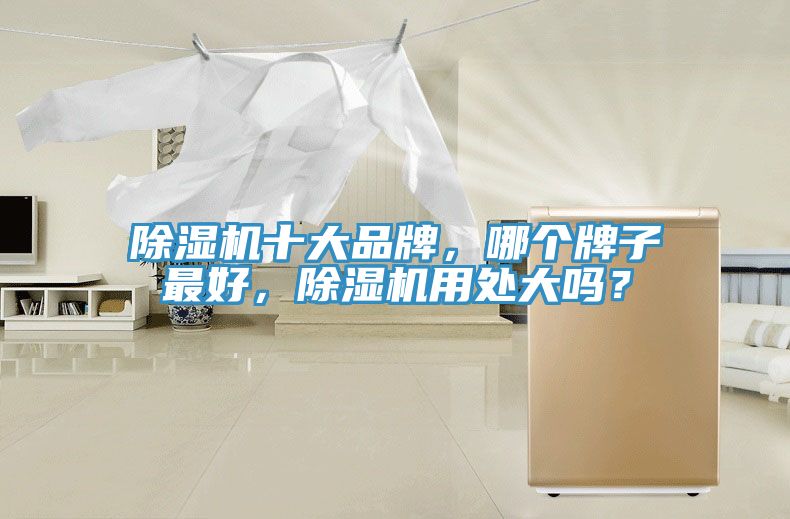 除濕機(jī)十大品牌，哪個(gè)牌子最好，除濕機(jī)用處大嗎？