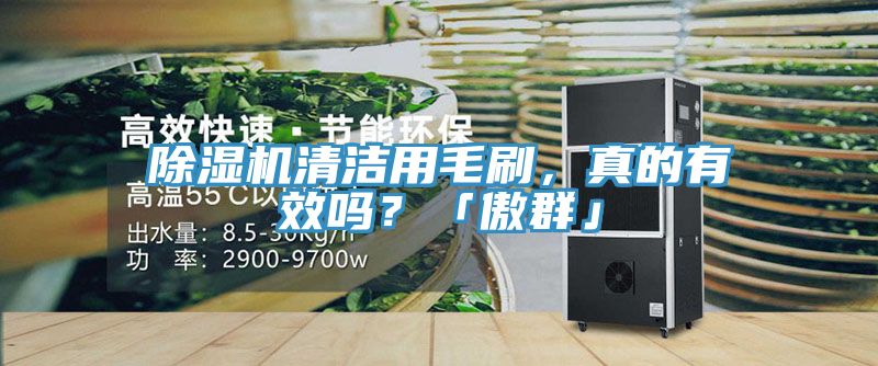 除濕機(jī)清潔用毛刷，真的有效嗎？「傲群」