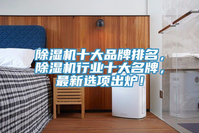 除濕機十大品牌排名，除濕機行業(yè)十大名牌，最新選項出爐！