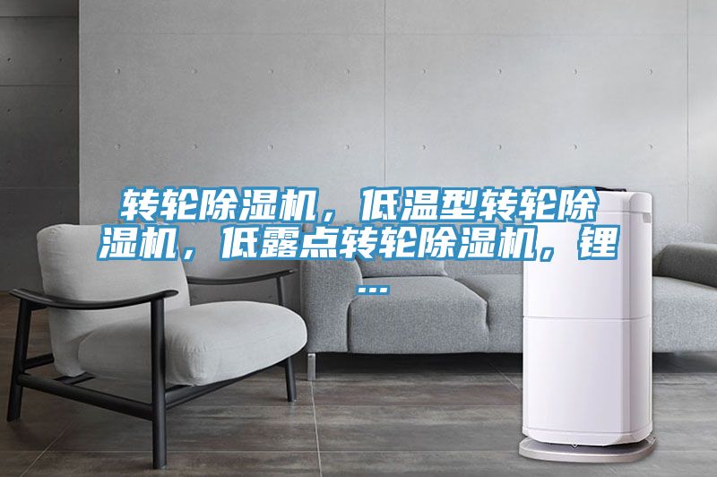 轉(zhuǎn)輪除濕機，低溫型轉(zhuǎn)輪除濕機，低露點轉(zhuǎn)輪除濕機，鋰 ...