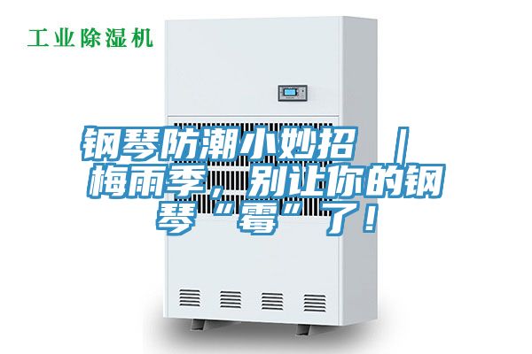 鋼琴防潮小妙招 ｜ 梅雨季，別讓你的鋼琴“霉”了！