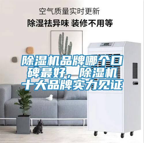 除濕機品牌哪個口碑最好，除濕機十大品牌實力見證