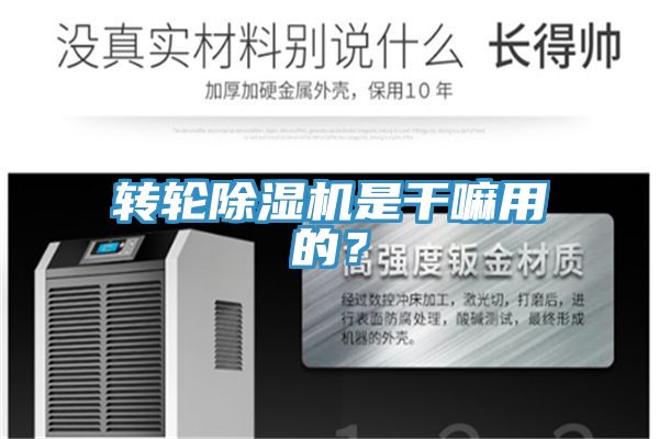 轉(zhuǎn)輪除濕機(jī)是干嘛用的？