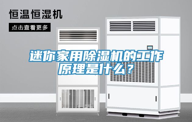迷你家用除濕機(jī)的工作原理是什么？