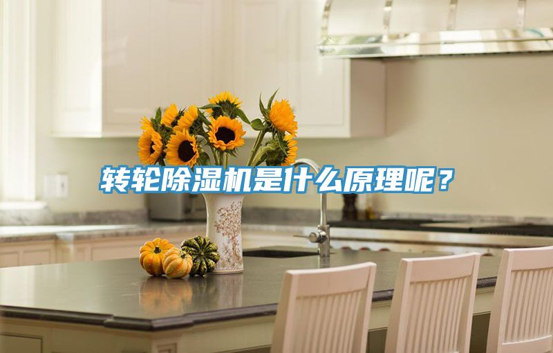 轉(zhuǎn)輪除濕機(jī)是什么原理呢？